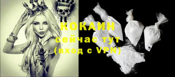 ГАЛЛЮЦИНОГЕННЫЕ ГРИБЫ Инта