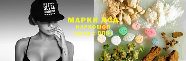 ГАЛЛЮЦИНОГЕННЫЕ ГРИБЫ Инта