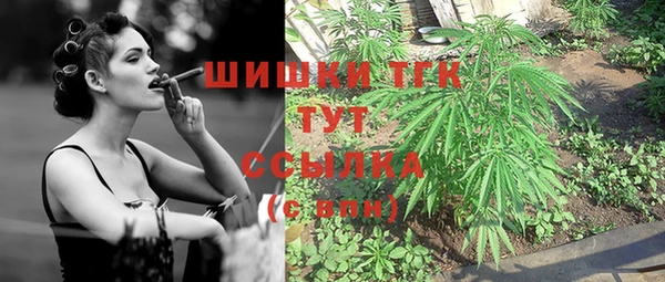 ГАЛЛЮЦИНОГЕННЫЕ ГРИБЫ Инта