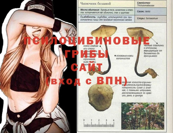 кокаин Инсар
