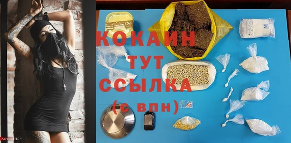 ГАЛЛЮЦИНОГЕННЫЕ ГРИБЫ Инта