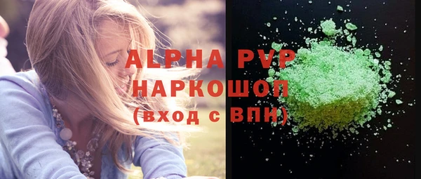 ГАЛЛЮЦИНОГЕННЫЕ ГРИБЫ Инта