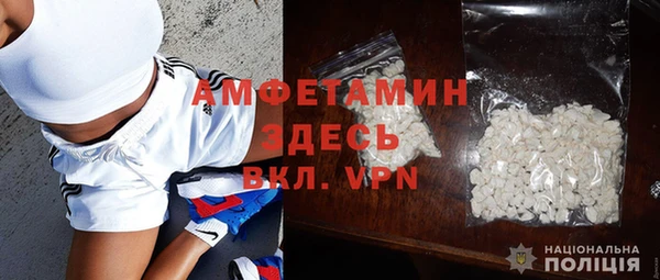 ГАЛЛЮЦИНОГЕННЫЕ ГРИБЫ Инта