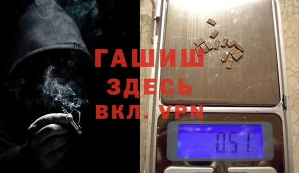 ГАЛЛЮЦИНОГЕННЫЕ ГРИБЫ Инта