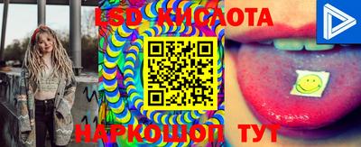 шишки Донецк