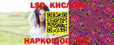 шишки Донецк