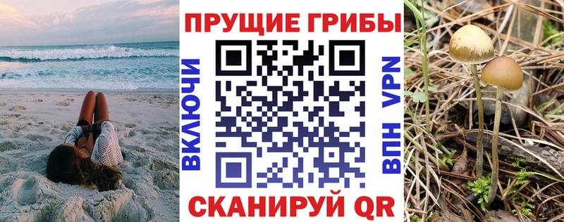 KRAKEN вход  Карасук  Псилоцибиновые грибы мухоморы 