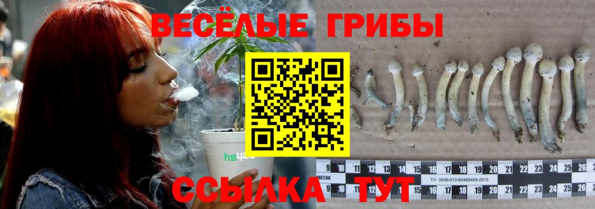  КОКАИН Карасук