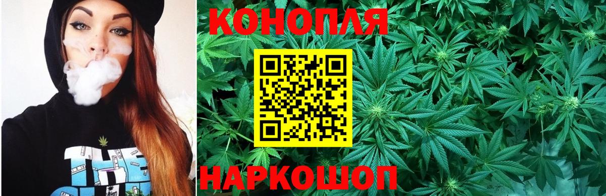 Бошки марихуана конопля Карасук